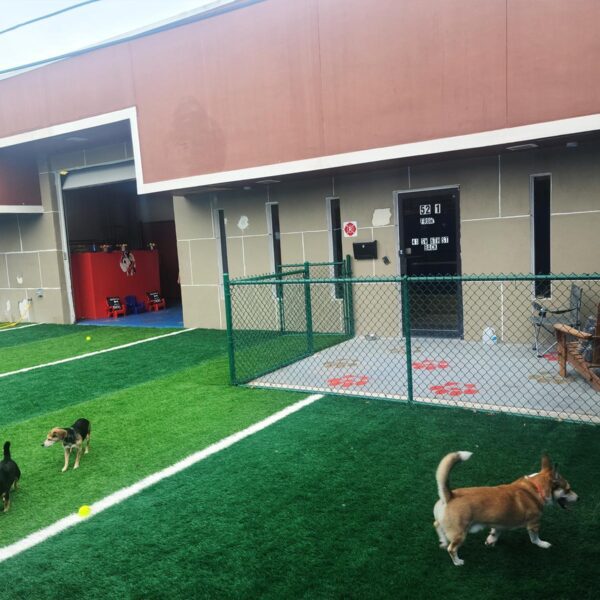 Facility