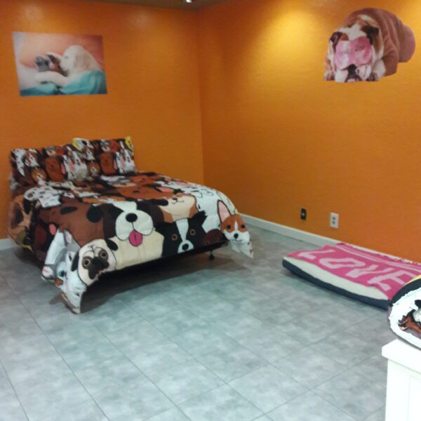 nefertitis puppy palace facility