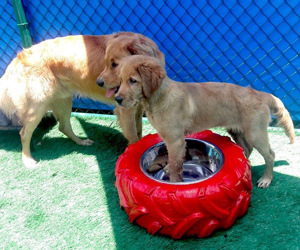 Daycare That Feels Like Home