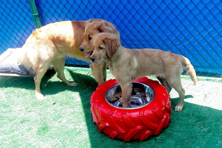 Daycare That Feels Like Home